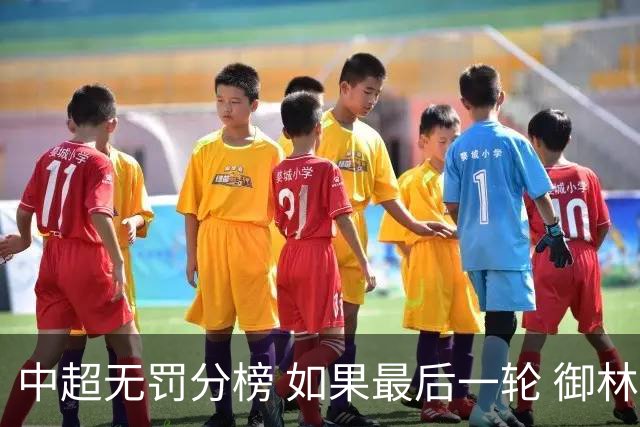 中超无罚分榜 如果最后一轮 御林军不胜 山东获胜 泰山积分就是第一了