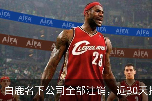 白鹿名下公司全部注销，近30天掉粉超144万，独立运营过渡期引关注