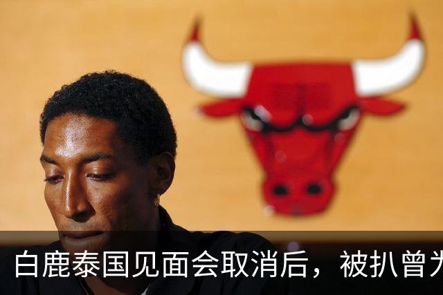 白鹿泰国见面会取消后，被扒曾为缅北拍宣传片，知情人爆更多内幕