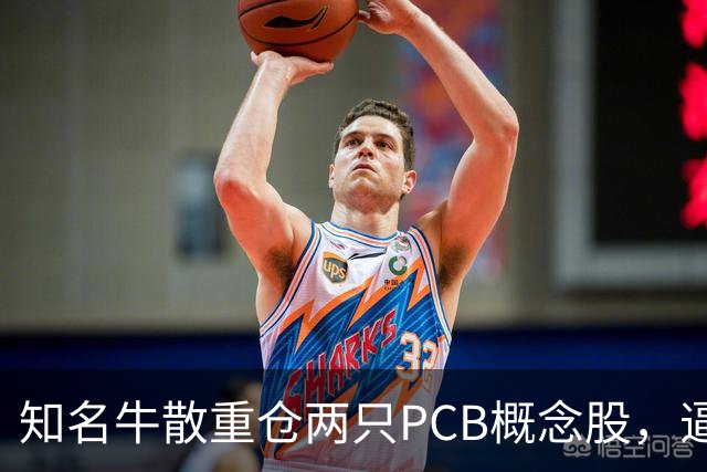 知名牛散重仓两只PCB概念股，逼近举牌线