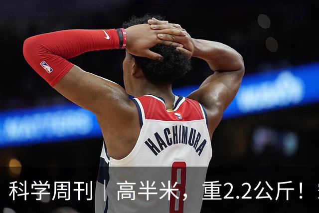 科学周刊｜高半米，重2.2公斤！霸王滇菌是怎么长到这么大的？大风新闻专访微生物研究专家