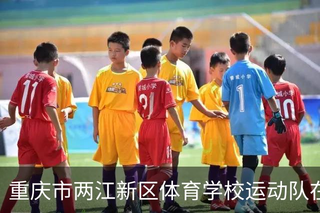 重庆市两江新区体育学校运动队在比赛中弄虚作假 多人被停赛一年