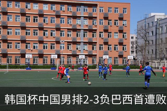 韩国杯中国男排2-3负巴西首遭败绩 主攻李磊伤退